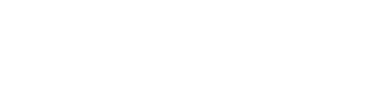 logo Zscaler